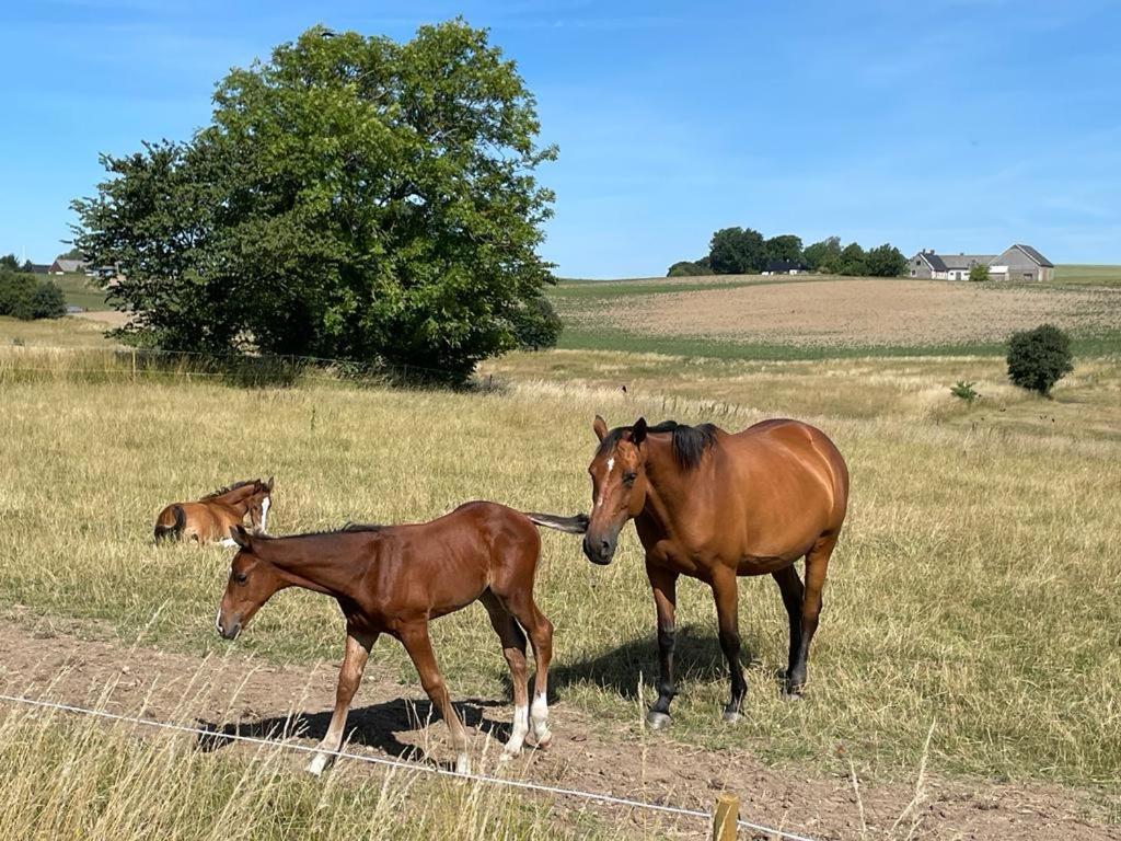 Rynge Teaters Boningshus Ystad Exterior foto