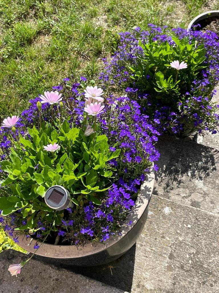 Rynge Teaters Boningshus Ystad Exterior foto